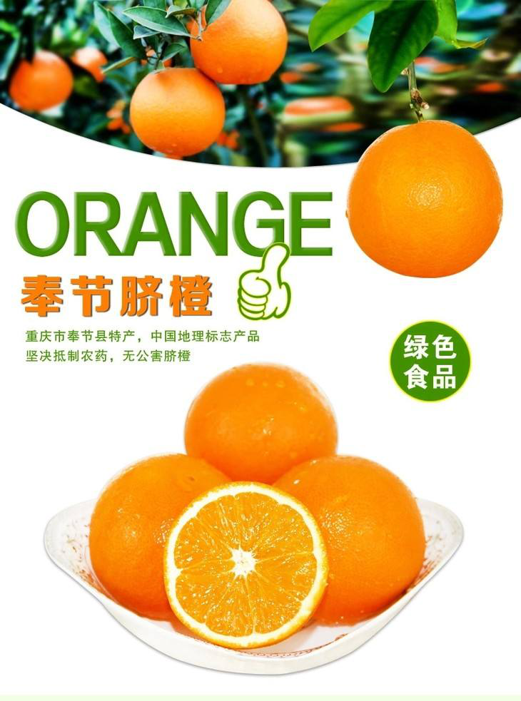 项目简介 奉节脐橙,重庆市奉节县特产,中国地理标志产品.